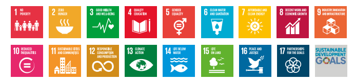 FN's bærekraftsmål